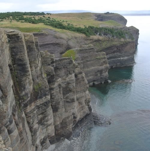 Chasing the Cambrian Explosion: How the Fossils of Newfoundland Defined the Greatest Biological Revolution in Earth History