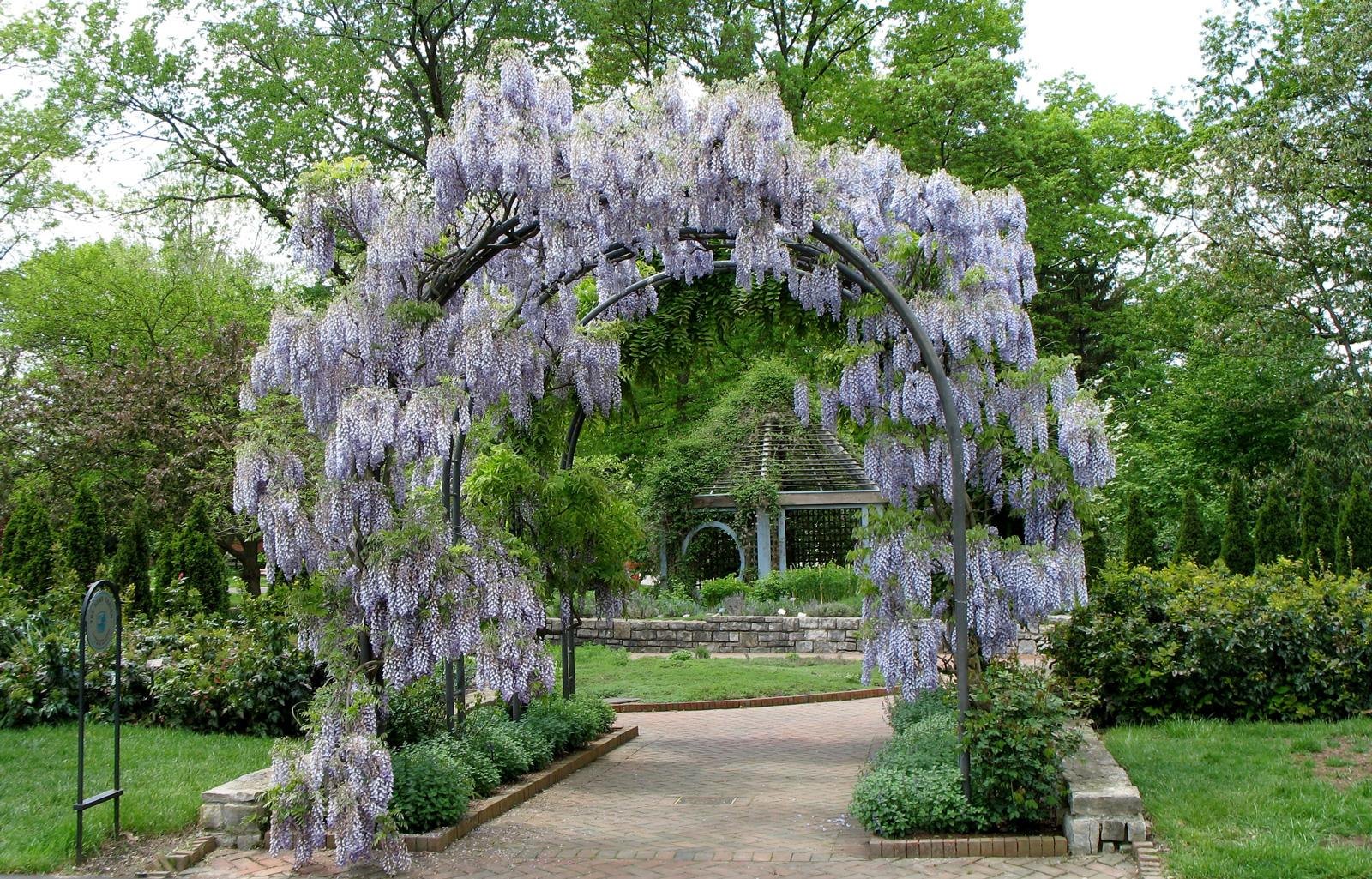 Happy Hikers Club: Garden Sensory Stroll