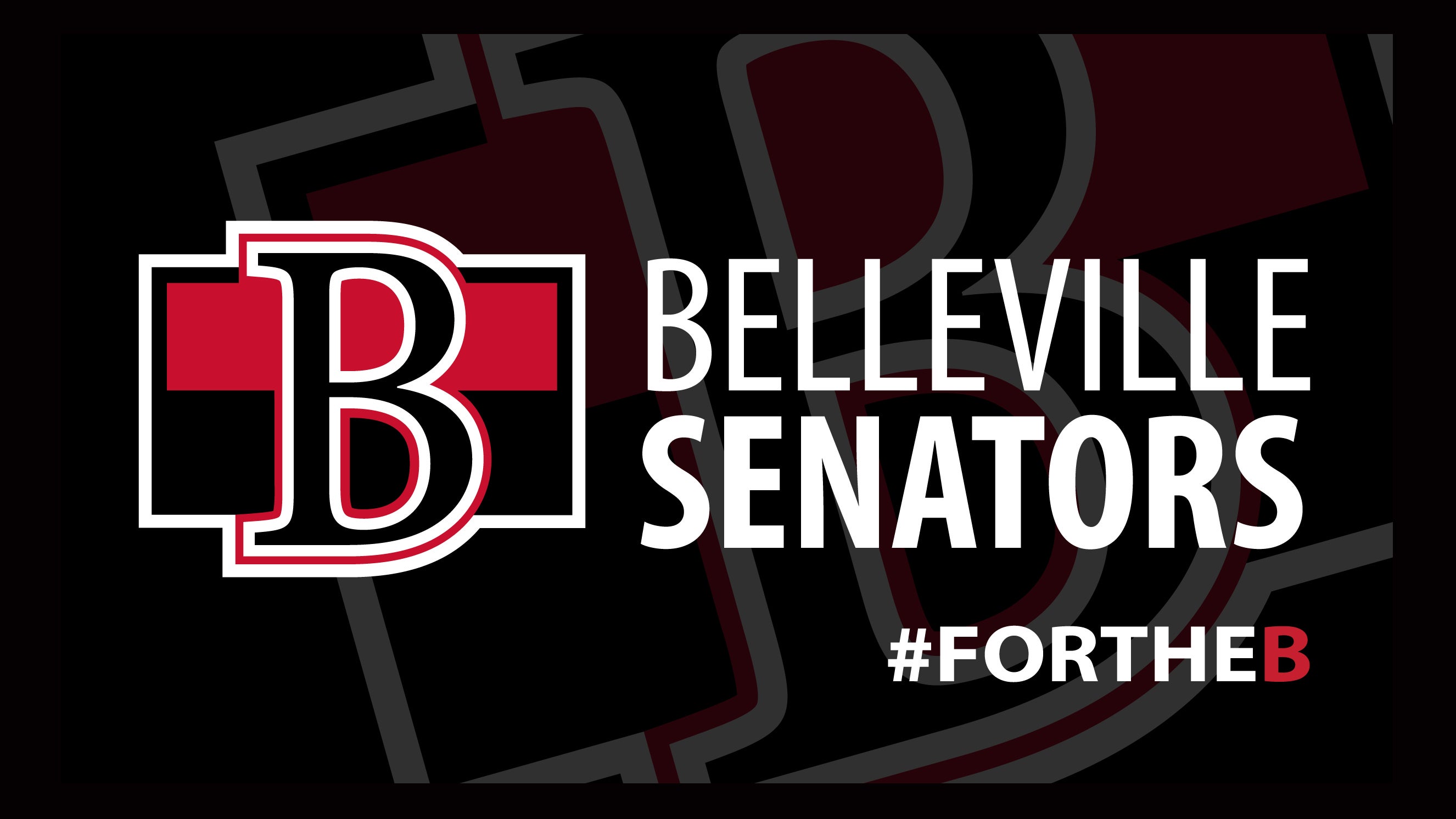 Belleville Senators V Hartford Wolfpack