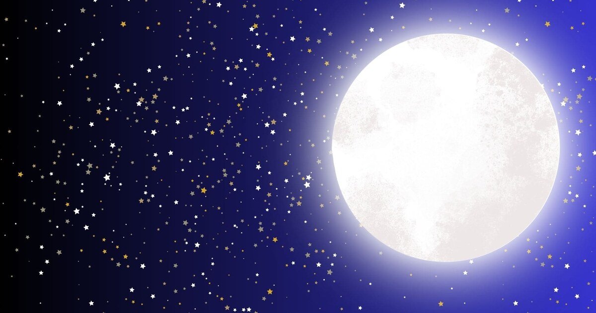 Moonlight: Adult Night at the Museums - Fall Fun Fundraiser