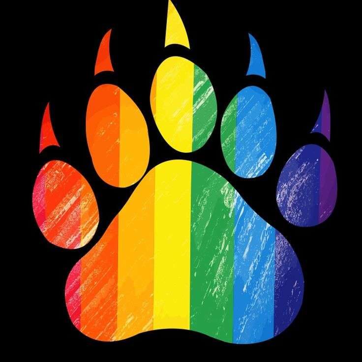 Gay Bears