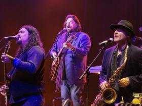 Alan Parsons Live Project
