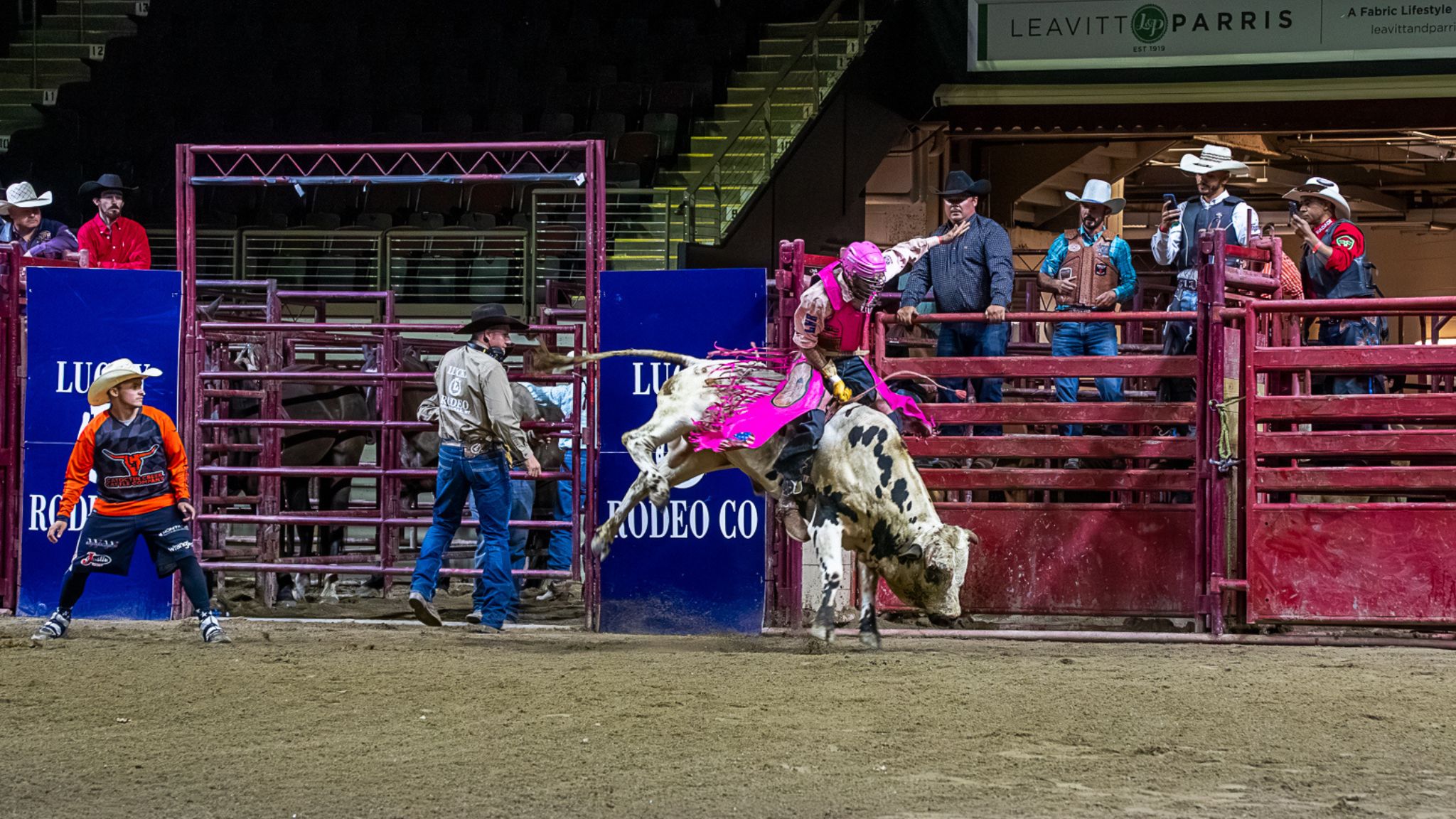 Bulls n' Broncs