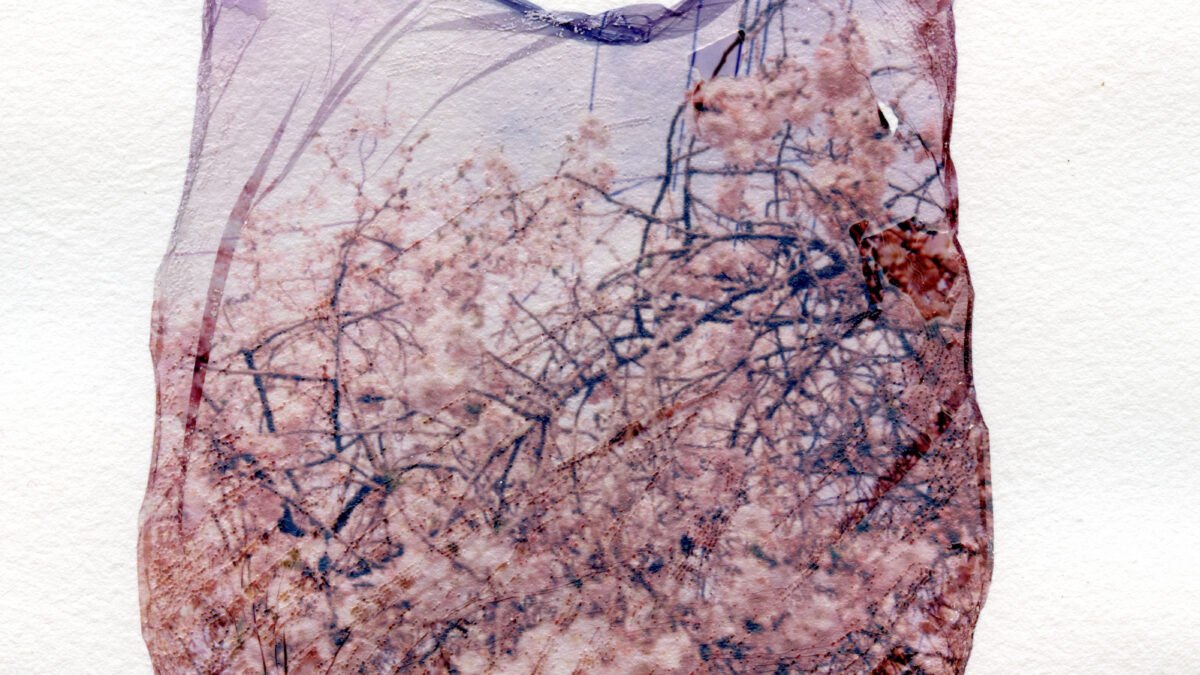 Summer Nights: Polaroid Transfer Printing with Jean Marques