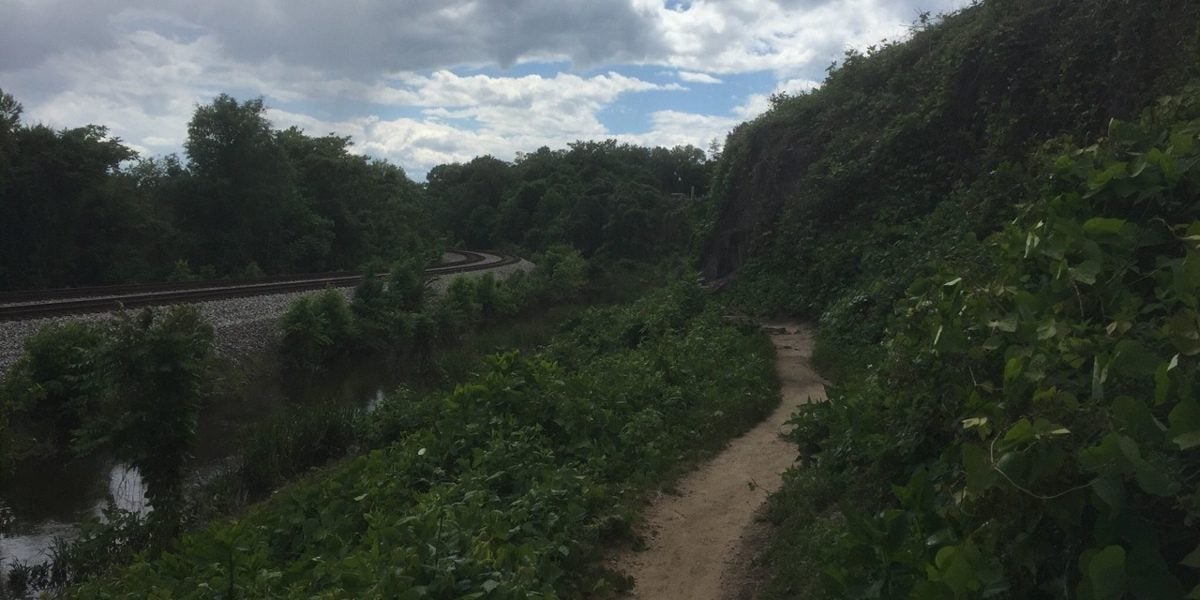Tuesday Nite Trail Run - Byrd Park