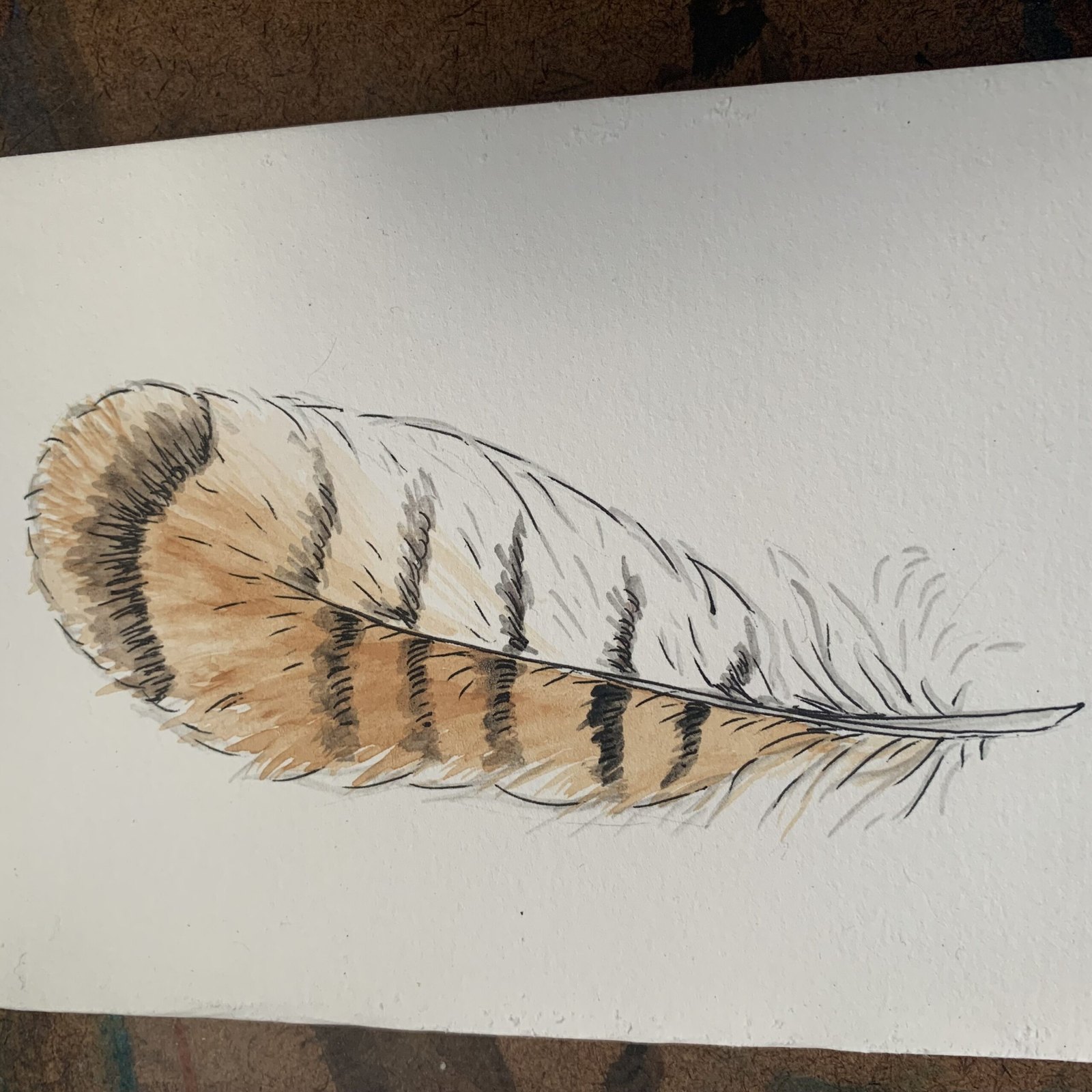 A Brush with Nature