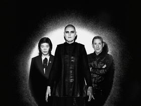The Cherub Rock VIP Package Upgrade (No Ticket Included)