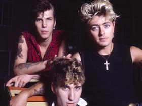 The Stray Cats