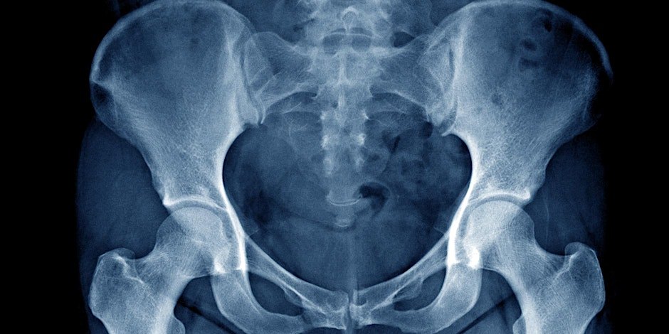 Saturday Series: Hip Anatomy and Function