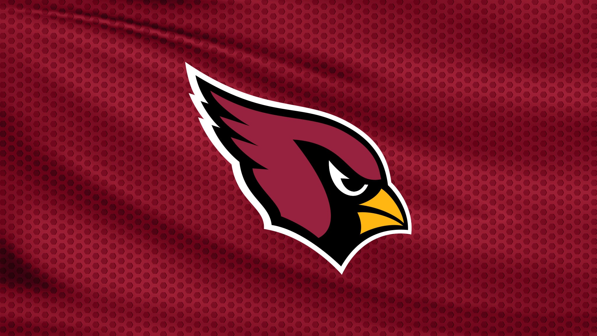 Arizona Cardinals v Detroit Lions