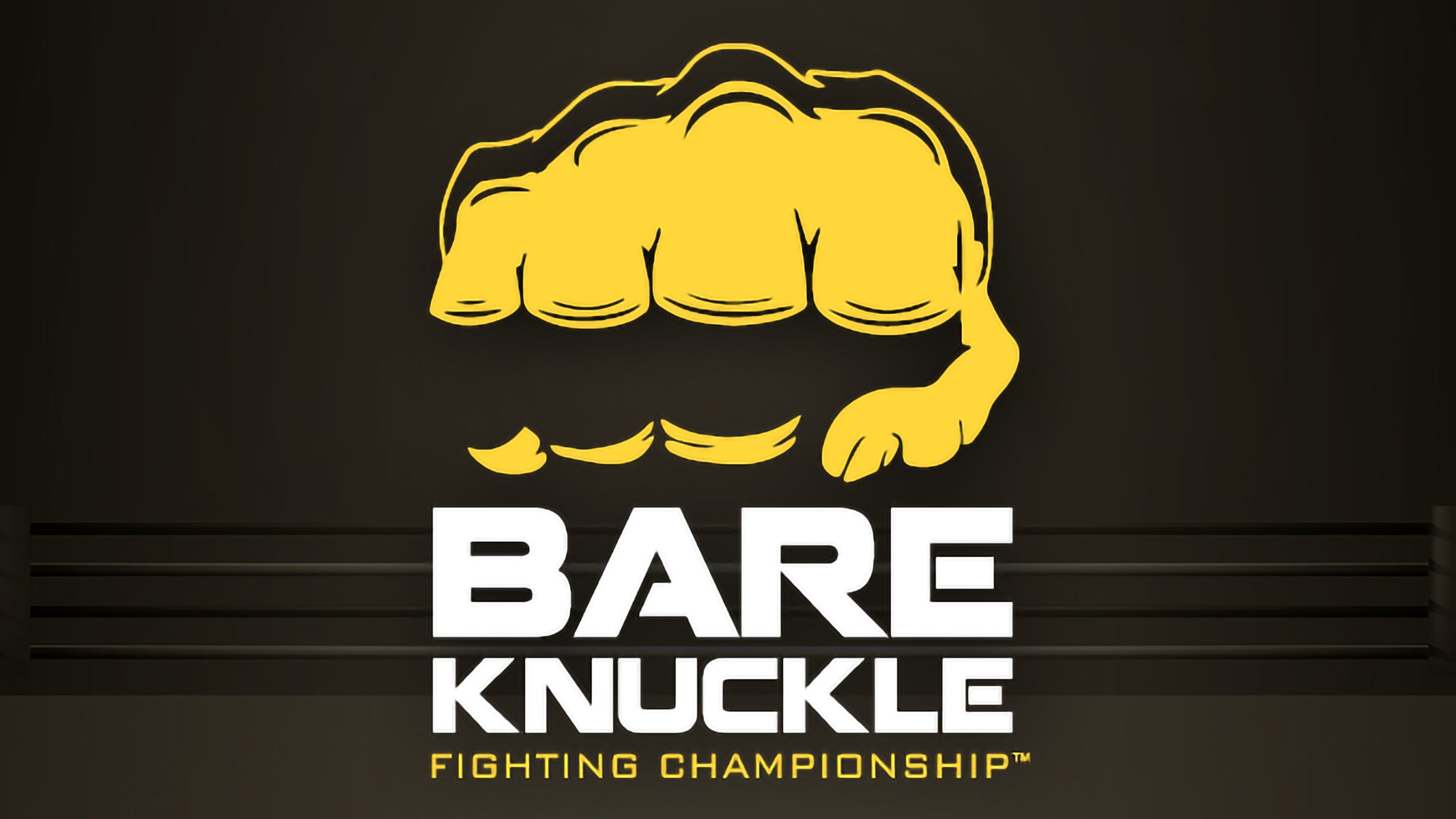 BKFC 95