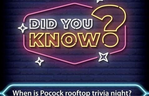 Rooftop Tacos and Trivia at Pocock Brewing Public House