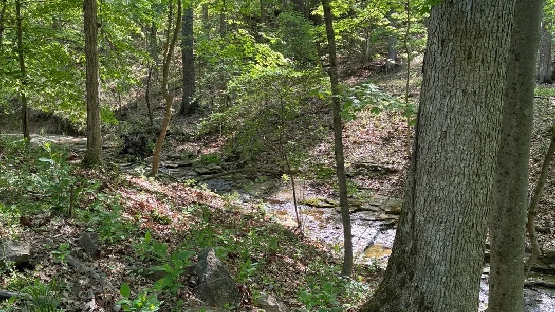 Wednesday Harrods Creek Park 4-Mile Hike