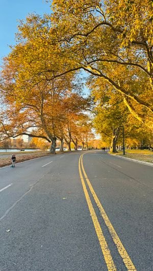 Memorial Drive Recreation Sundays (Riverbend Park)