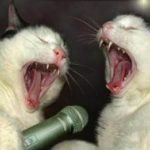 Karaoke Night