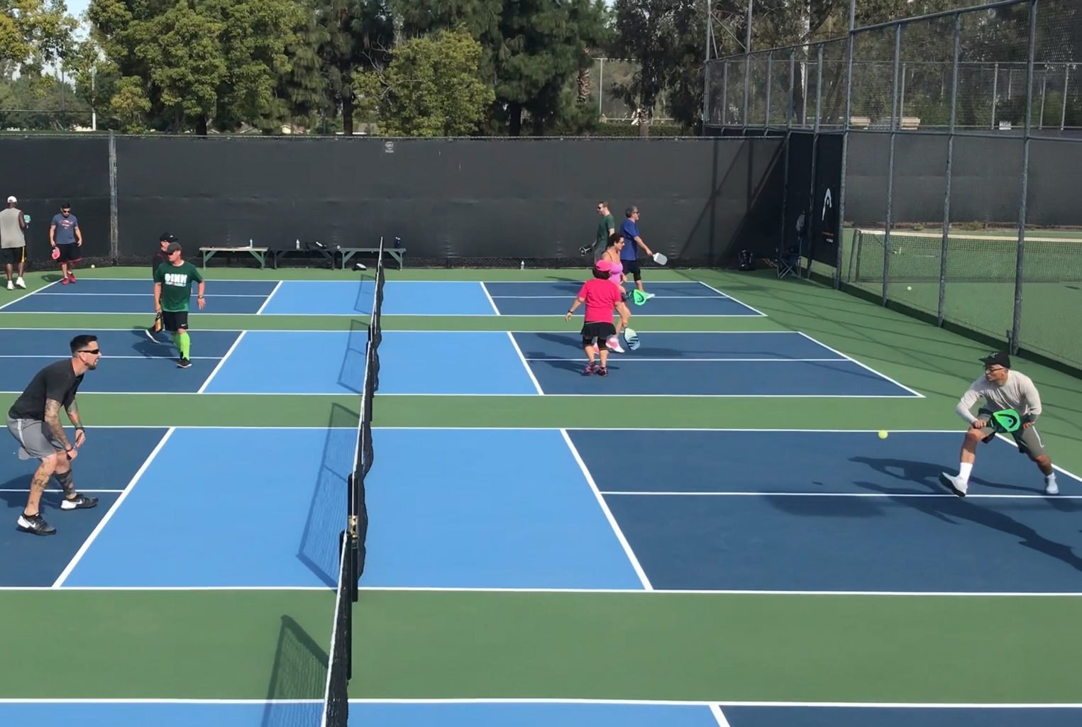 All-Levels Pickleball Open Play