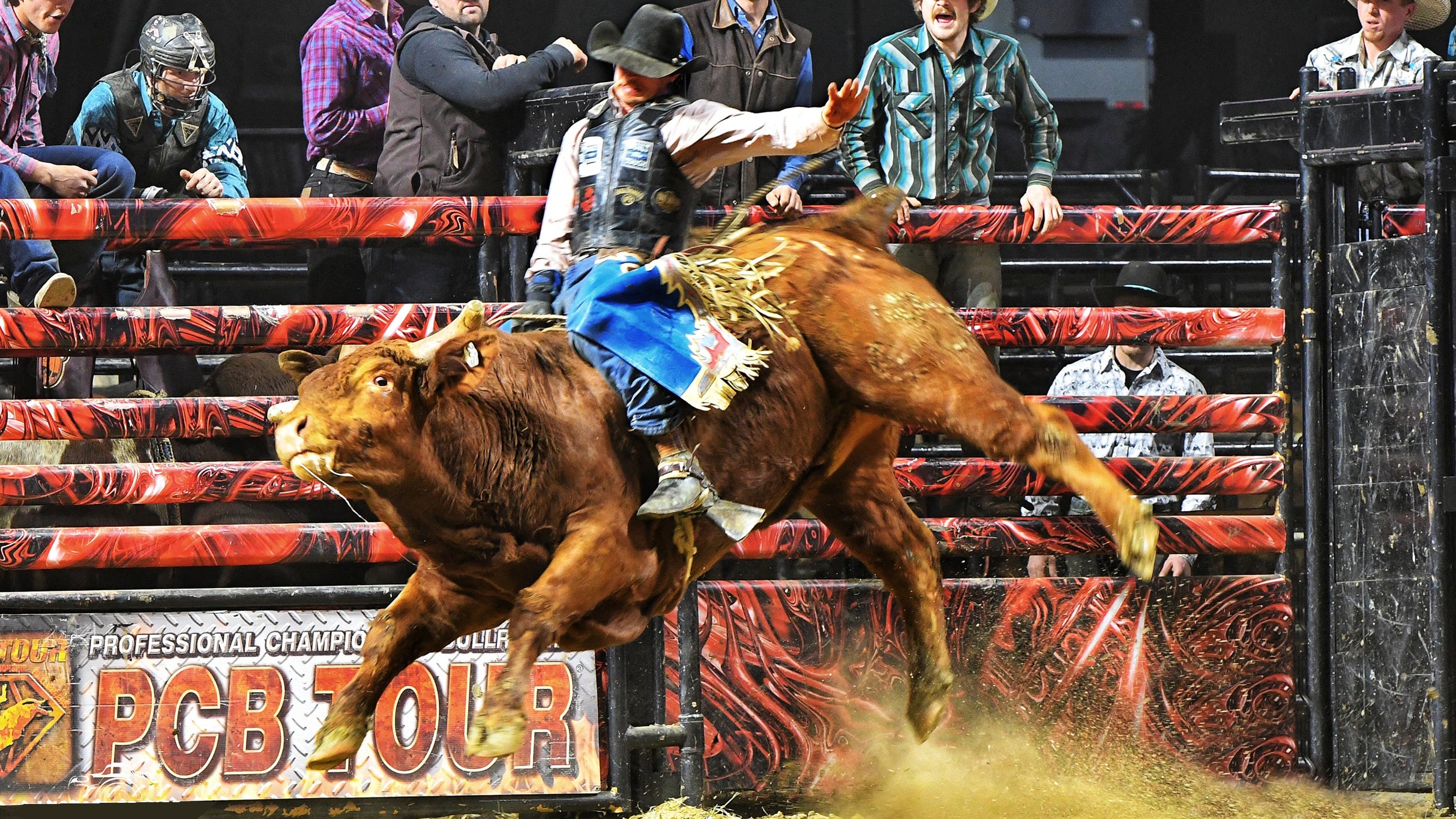Professional Championship Bull Riding