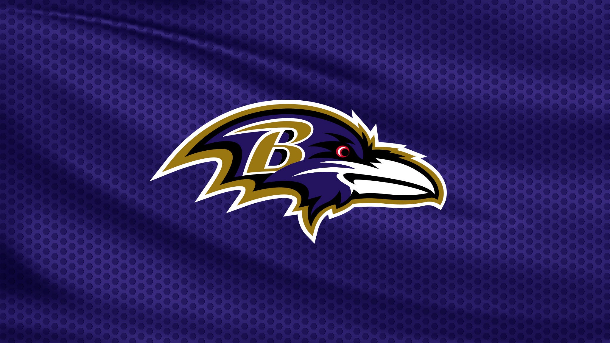 Baltimore Ravens v Cincinnati Bengals