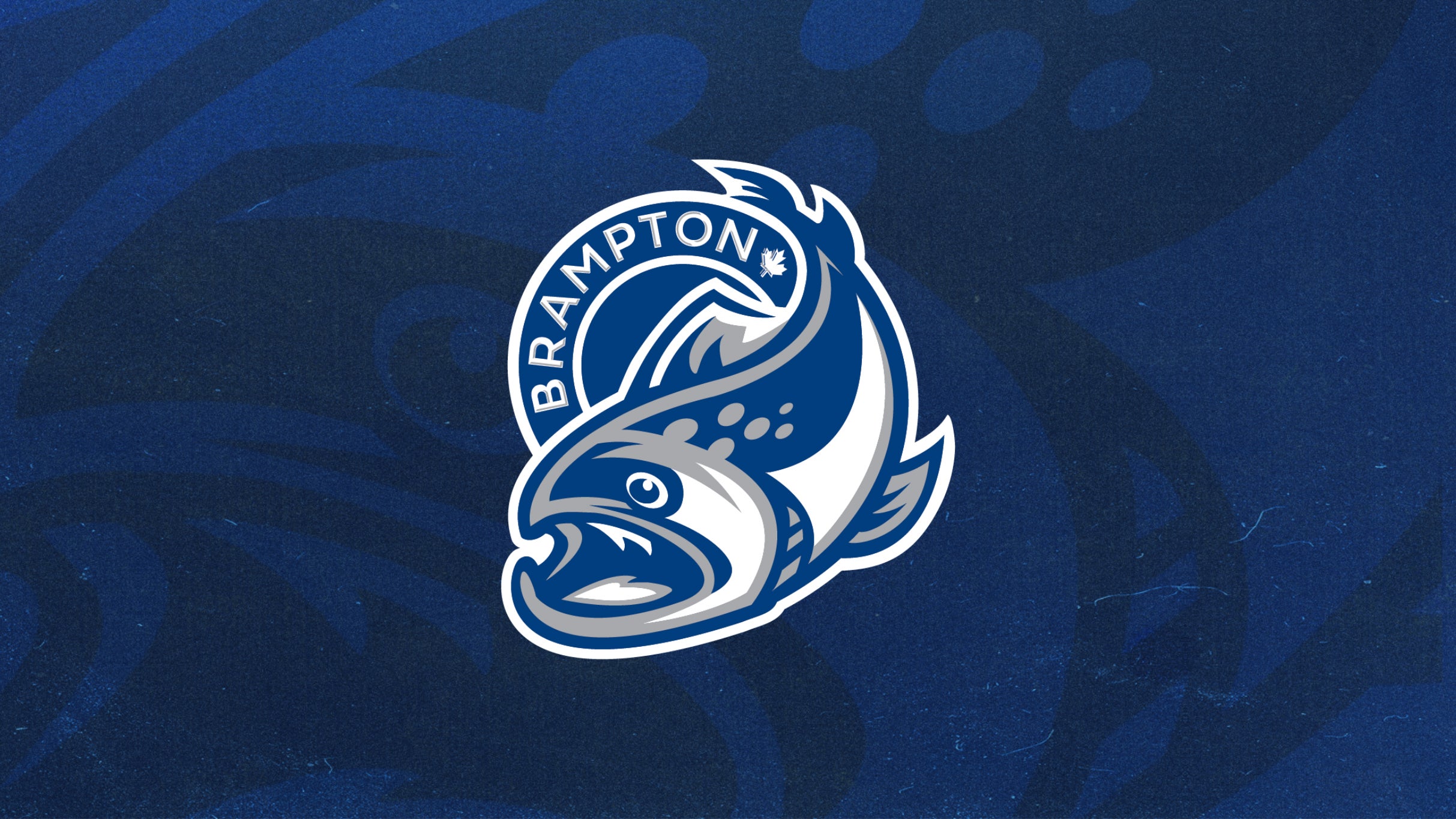Brampton Steelheads vs. Saginaw Spirit