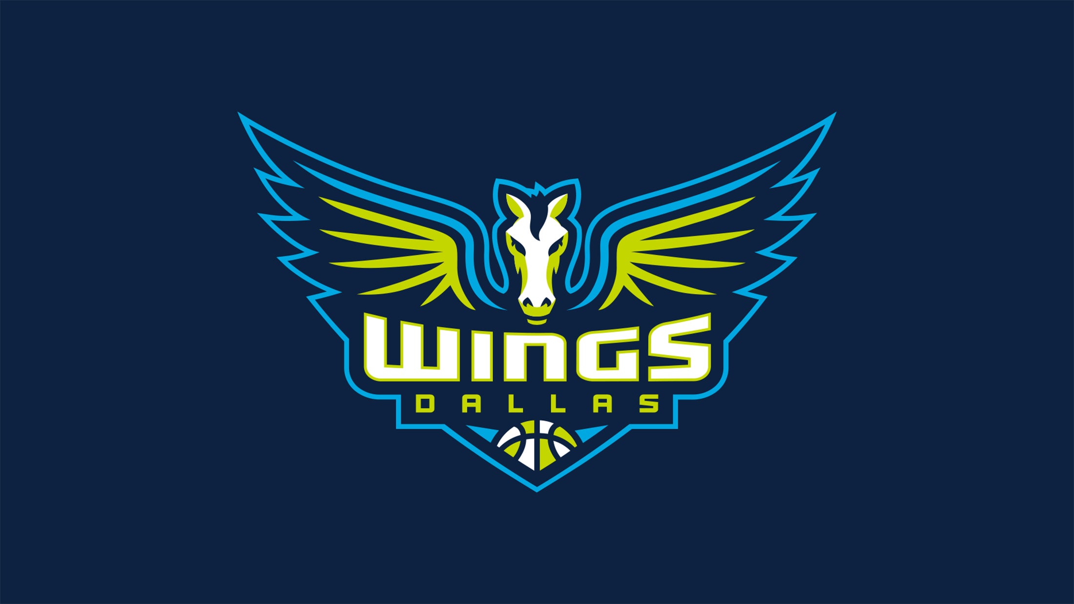 Dallas Wings vs. Chicago Sky