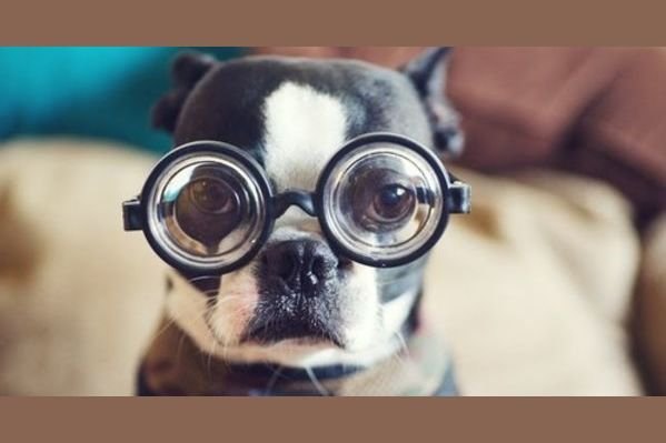 Let's Get Quizzical Trivia Night!