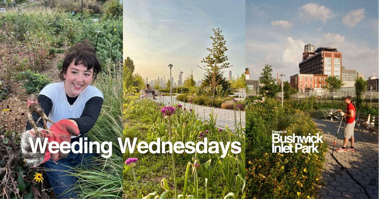 Weeding Wednesdays 2026
