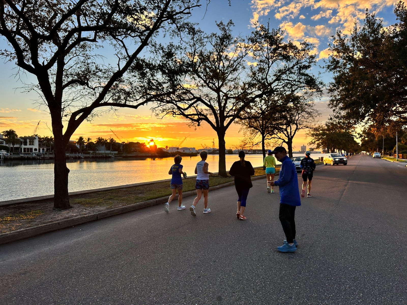 Davis Islands Group Run