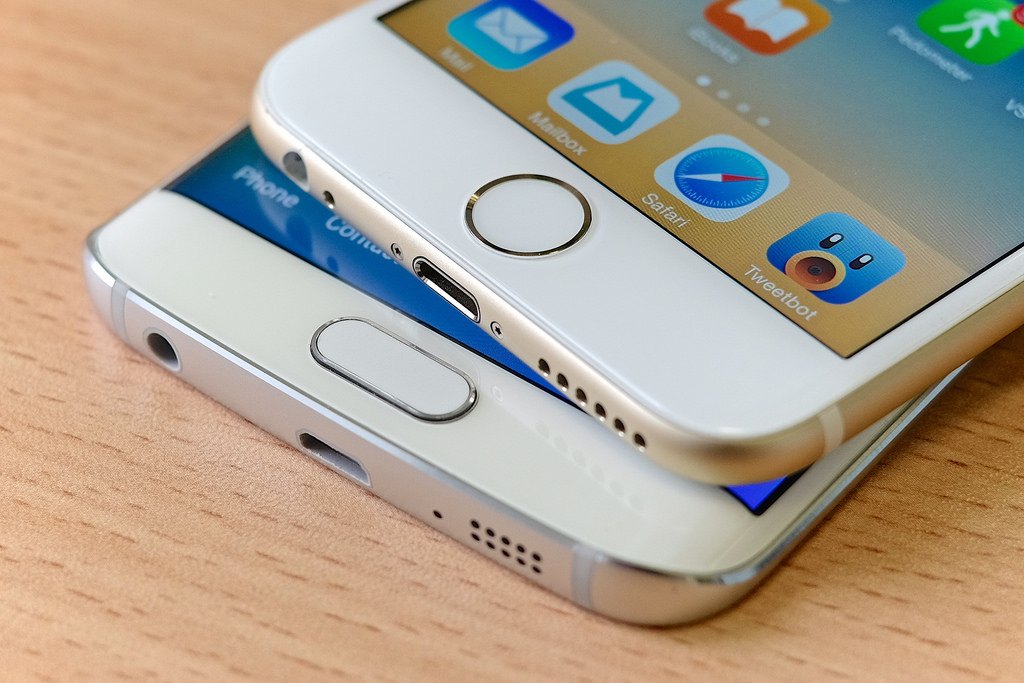 Tech Savvy: Cell Phone Basics