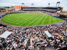 Auburn Tigers vs Mississippi State Bulldogs Baseball