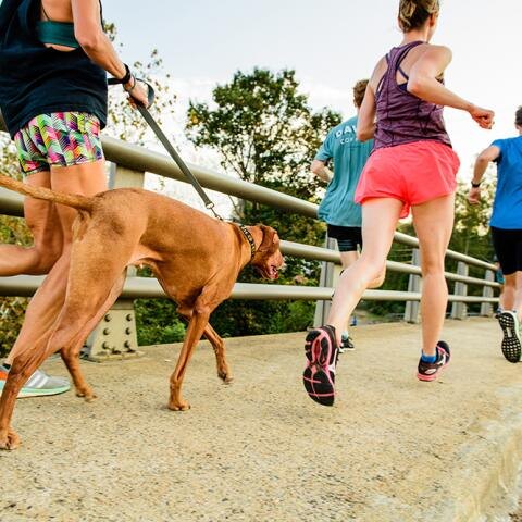 Thursday Night Run Club