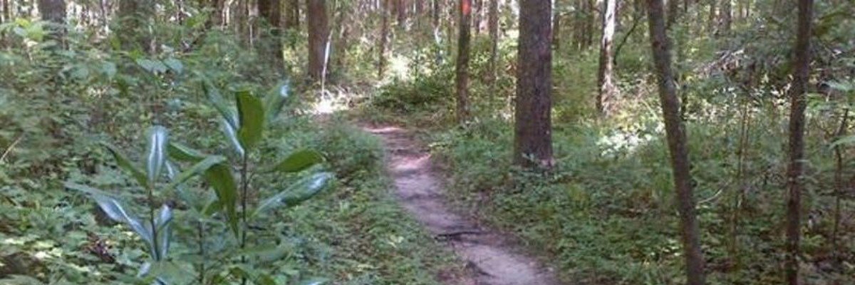 Summer Trail Series - Cadillac Trail