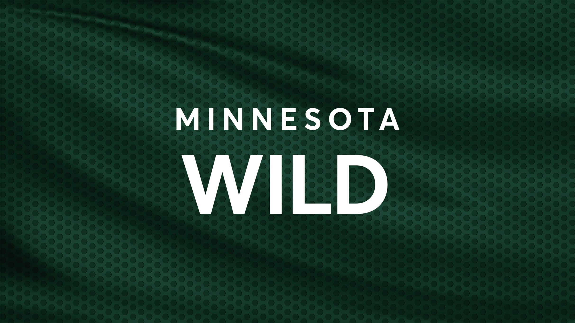 Minnesota Wild vs. St. Louis Blues
