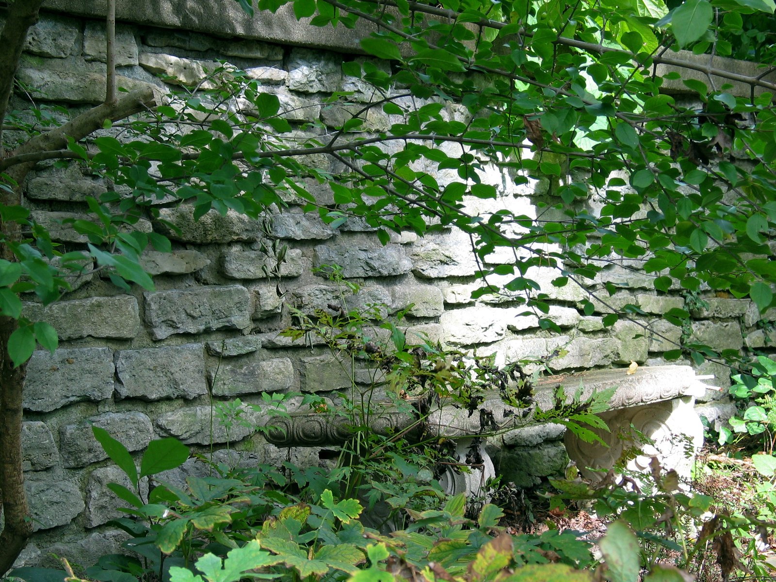 Group Hike: Ault Park (Hiking)
