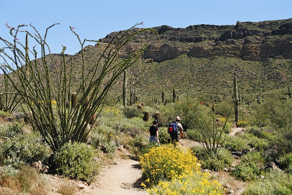 Full Moon Hike