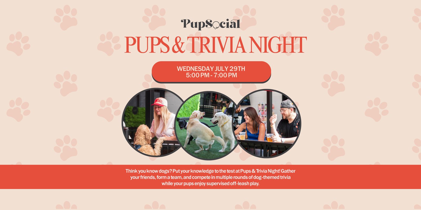 Pups and Trivia Night