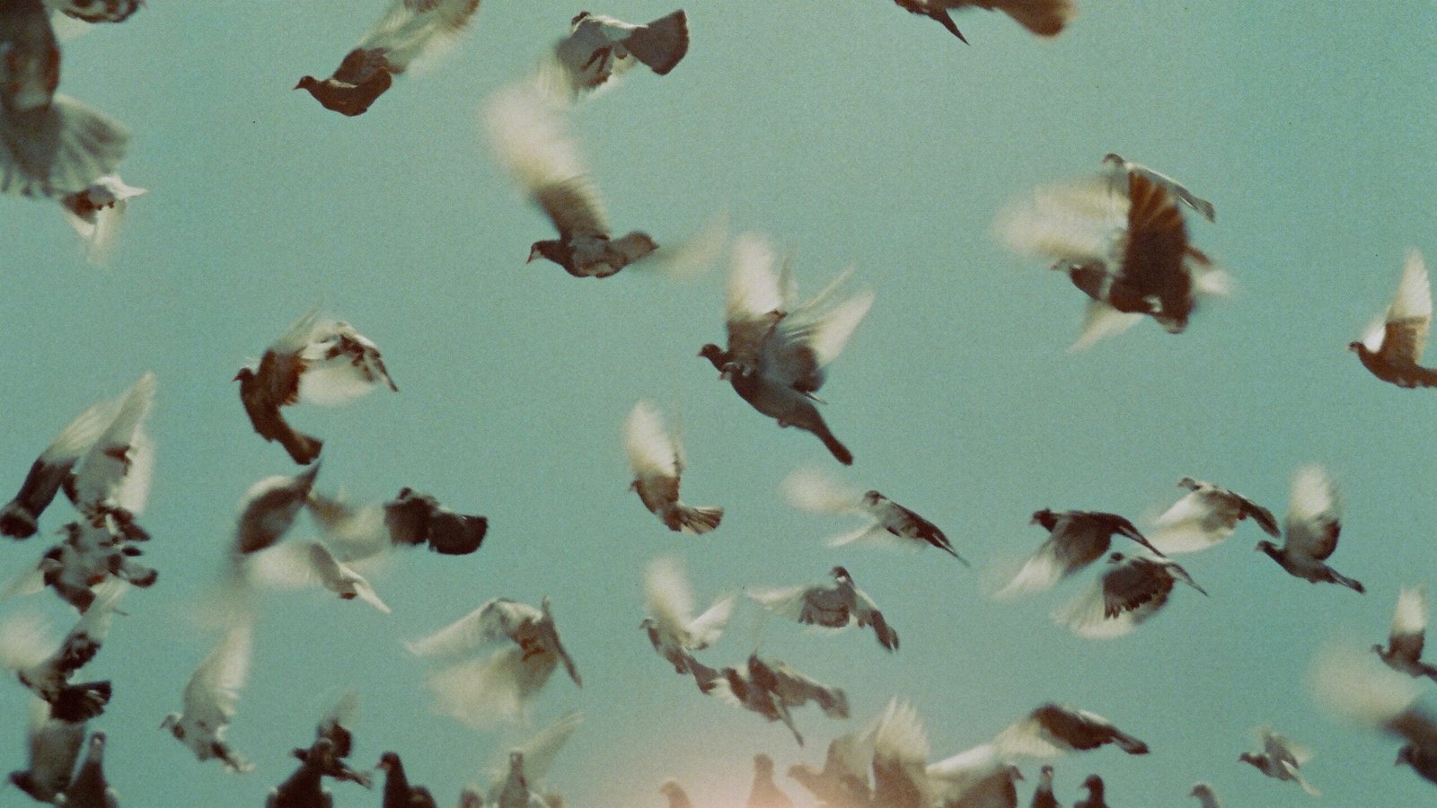 New York Non-Fiction 2026: Films Program