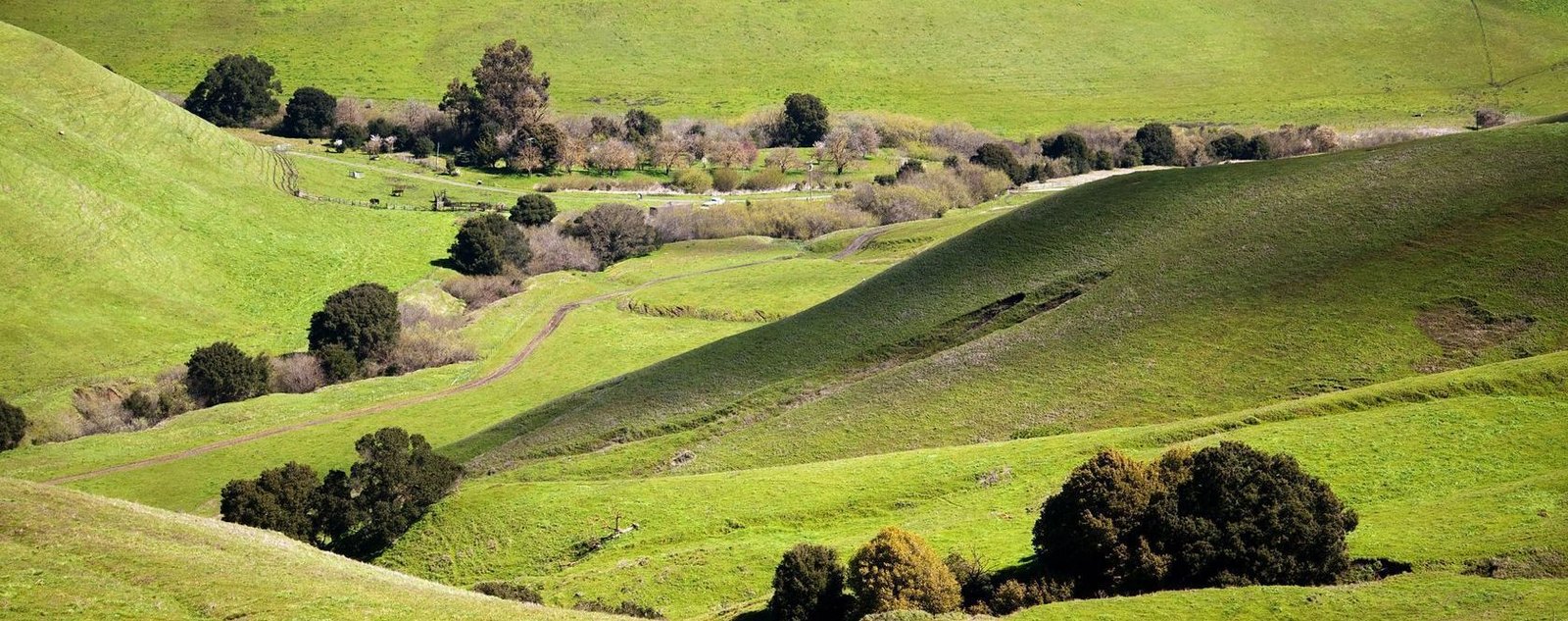 Nature Hike at Lynch Canyon
