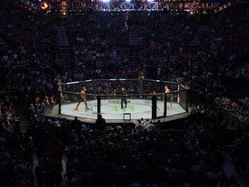 UFC 331