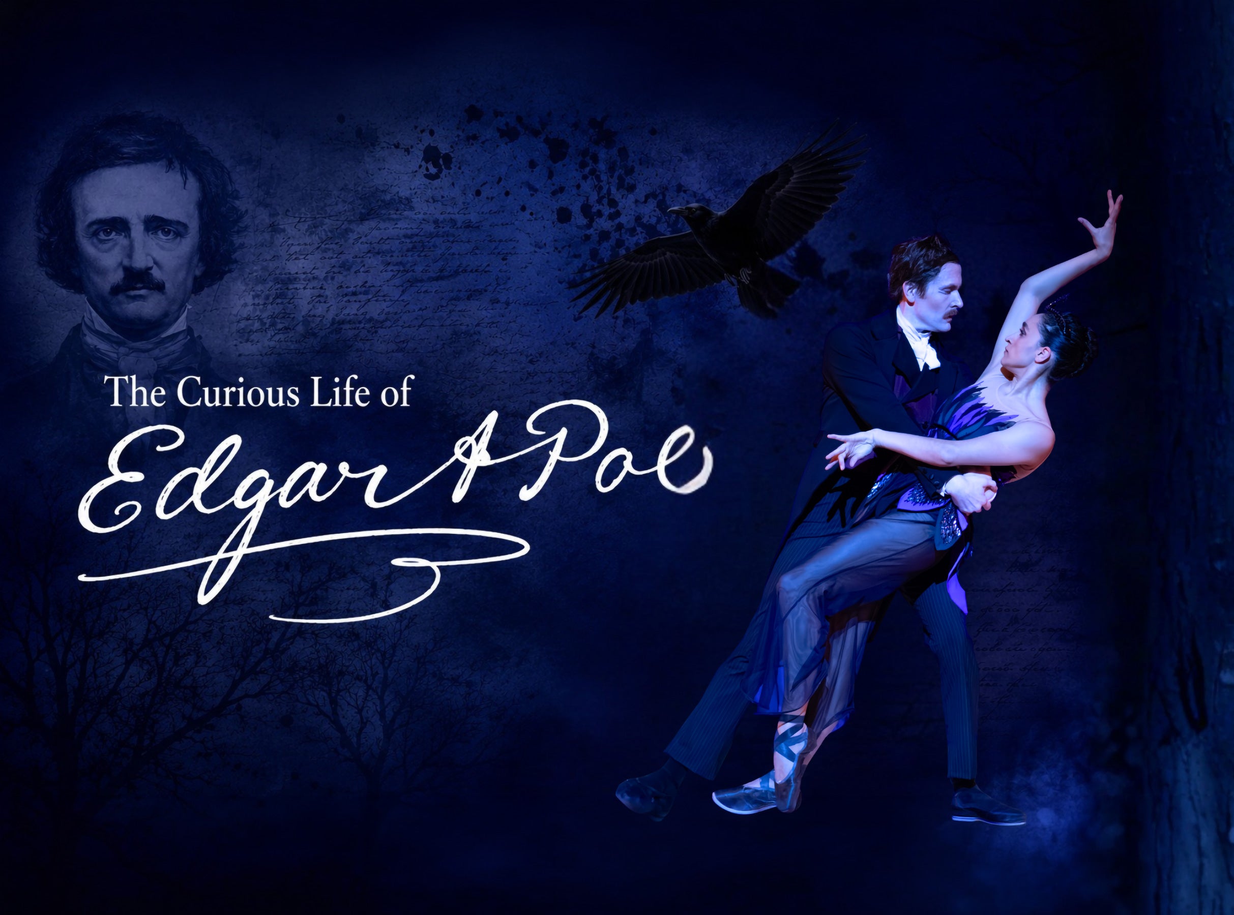 The Curious Life of Edgar Allan Poe
