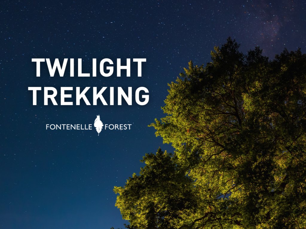 Twilight Trekking