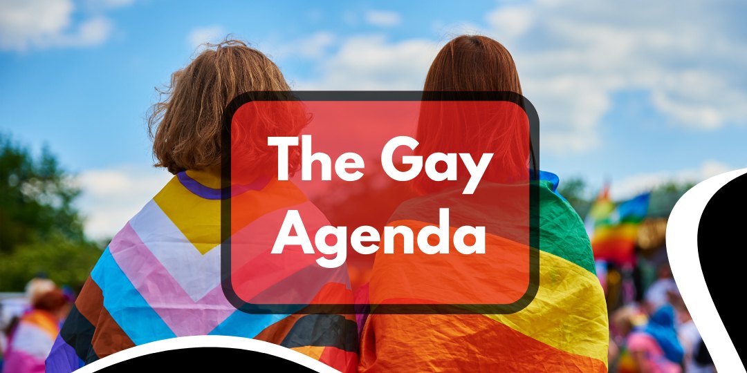 The Gay Agenda