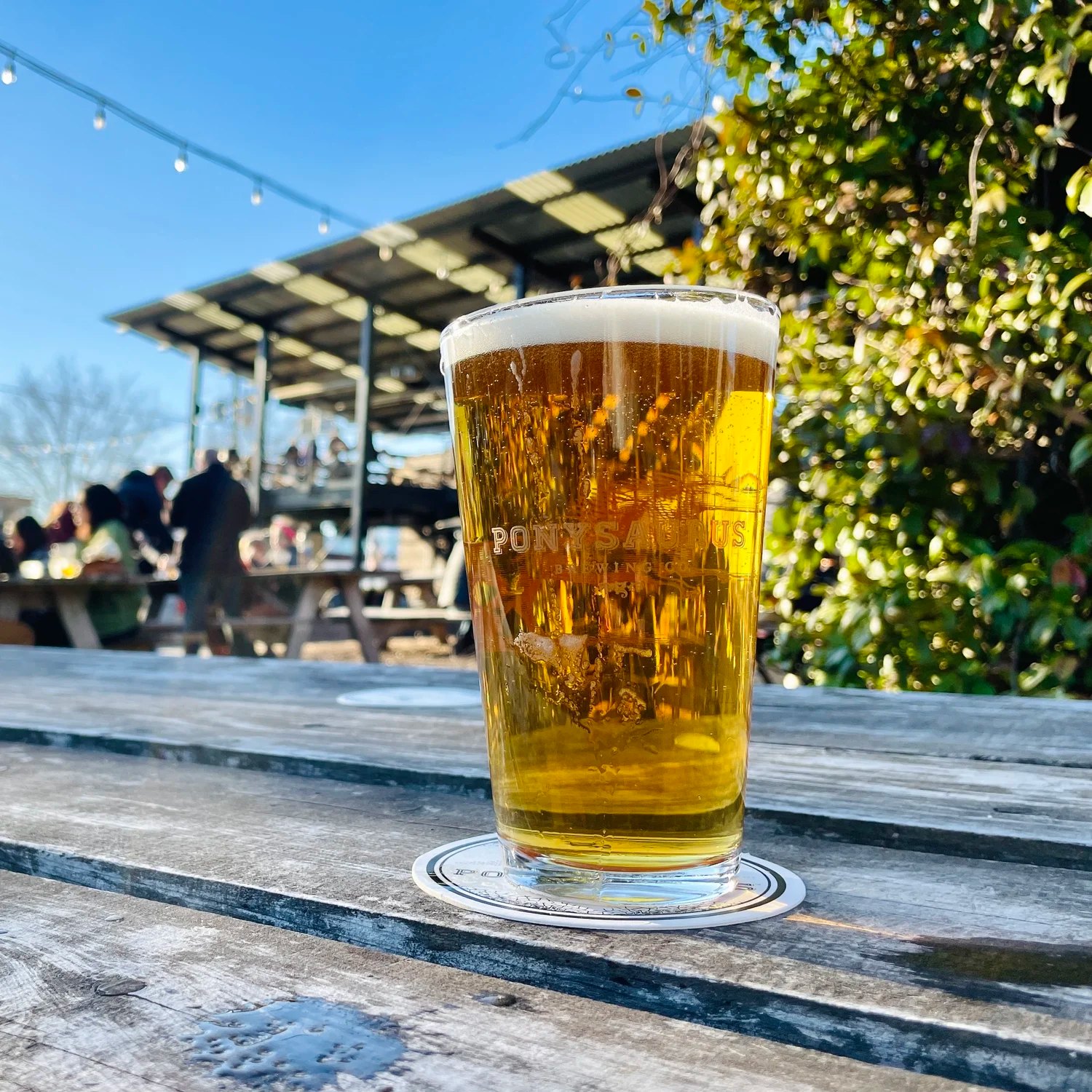 Trivia Night at Ponysaurus Brewing Co.