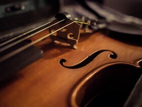 Stardew Valley: Symphony of Seasons