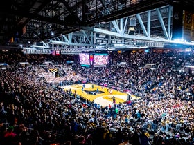 Bryant at Providence