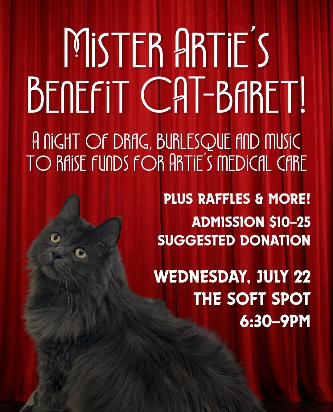 Mister Artie's Benefit CAT-baret