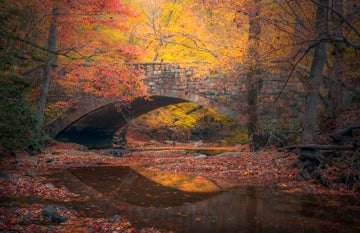 Umstead State Park Support - Sunset Hike
