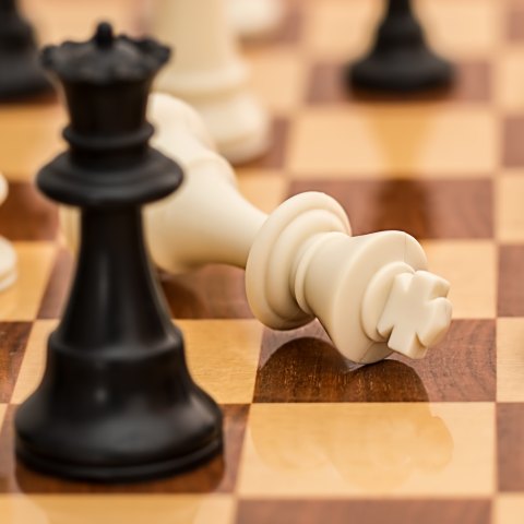 Adult Chess Club