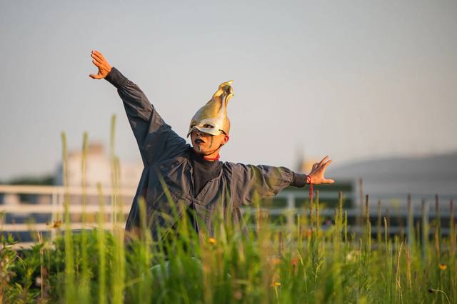 WE ARE NATURE Governors Island Open House & Public Events