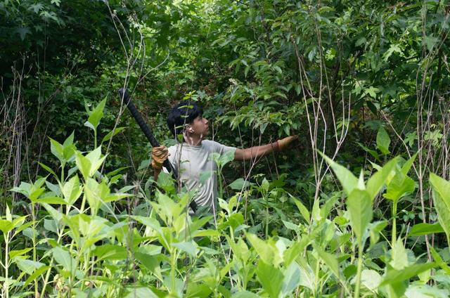 Master Gardener Series: Give Yourself a Fighting Chance Against Invasive Plants