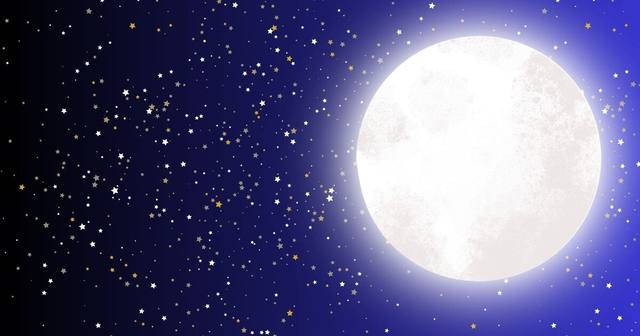 Moonlight: Adult Night at the Museums - Fall Fun Fundraiser